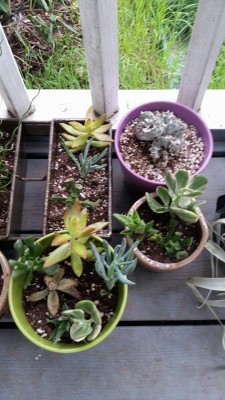 porch5.jpg