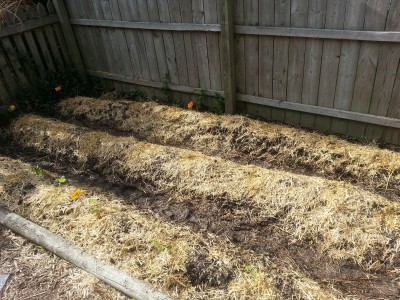 Garden mounds