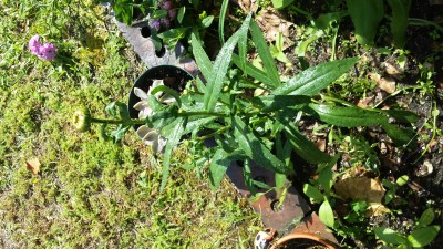 20150512_095922.jpg