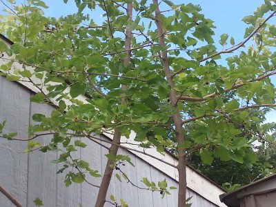 20150514_110027.jpg