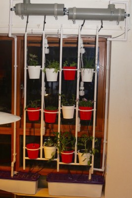 Home hydroponic