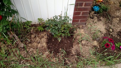 IMG_20150529_150831792.jpg