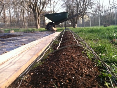 Ive added this shallow 10ft bed. Its only about 5&quot; deep. This is where I plan to grow Lavender