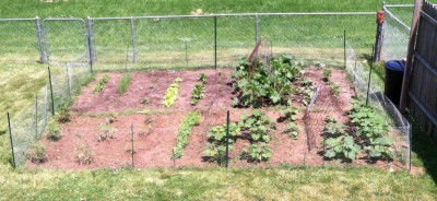 Garden 2015 (started planting April 2nd and last plant date from seed was may 12th I believe and tomato and jalapeÃ±os transplants the last week of May)