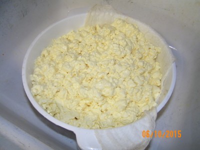 Cheese 2015 005.JPG