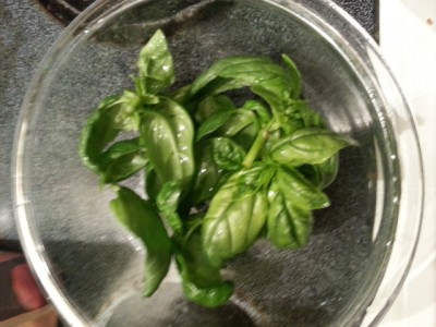 Fresh basil...mmmm smells so nice!!