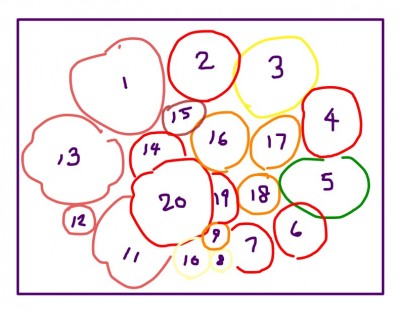 1) Momomakh's Hat, 2) Tasmanian Chocolate, 3) Pineapple Pig, 4) Cherokee Tiger Large Red, 5) Berkeley Tie-Dye, 6) Tigerella, 7) not Earl's Green Cherry, 8) Coyote, 9) Sweet Beverley, 10) Snow White, 11) Kamatis Tagalog, 12) Sweet N Neat, 13) Kamatis Tagalog, 14) Kootenai, 15) Sinister Minister F4, 16) Burszyn, 17) Jaune FlammeÃ©, 18) Gajo de Melon, 19) ManÃµ, 20) Russo's Sicilian Togetta