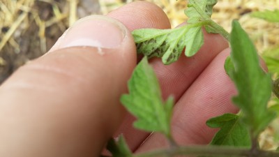 20150628_130624.jpg