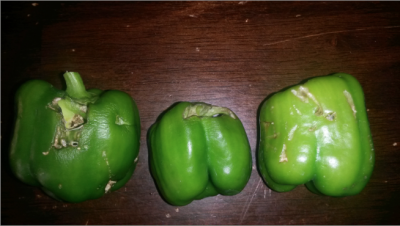 Bell Peppers.