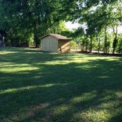 back yard.jpg