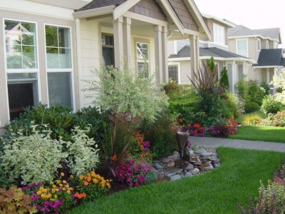 just a nice foundation planting with rocks and texture