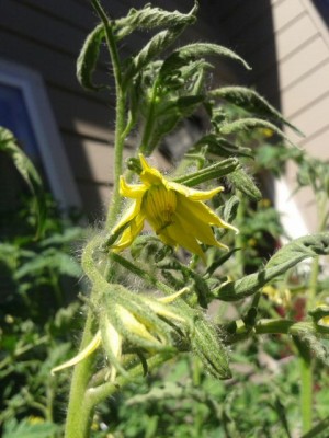 2013-07-17 15 48 26.jpg