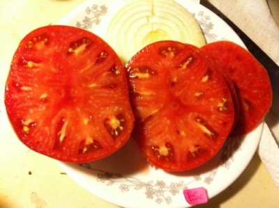 One pound Terhune tomato slices