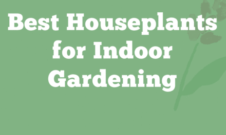 Houseplants for Indoor Gardening