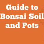 Guide to Bonsai Soil and Pots