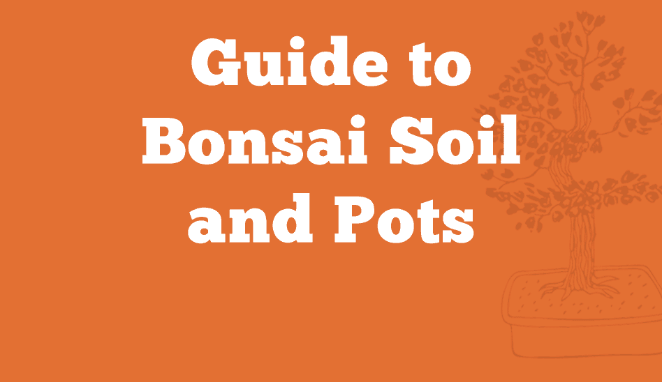 Guide to Bonsai Soil and Pots