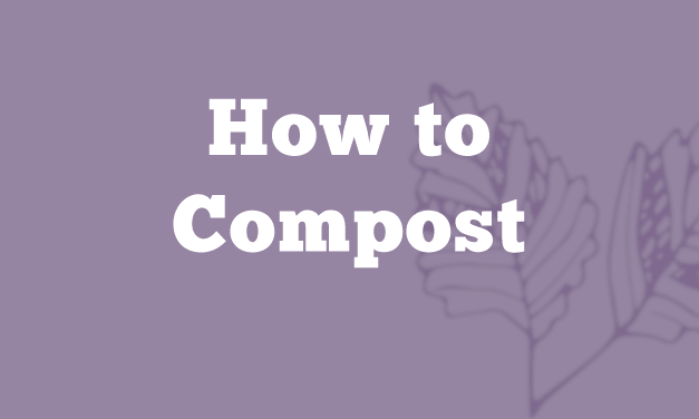 How to Compost