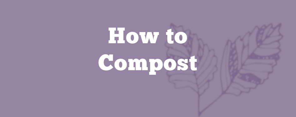 How to Compost