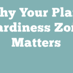 Learn Your Plant Hardiness Zone… Then “Change” it!